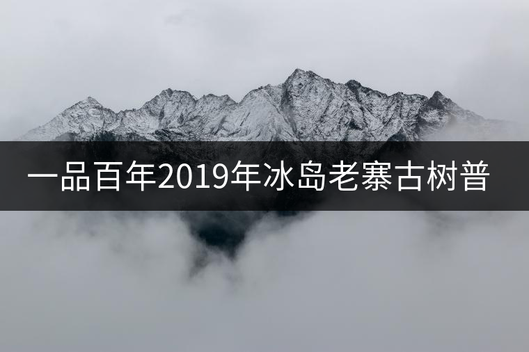 一品百年2019年冰島老寨古樹普洱茶生茶好喝嗎？