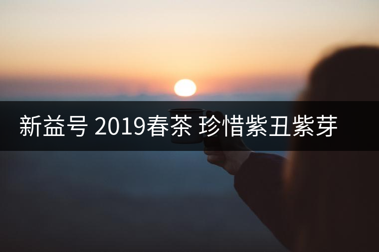 新益號 2019春茶 珍惜紫丑紫芽茶 是什么茶好喝嗎？
