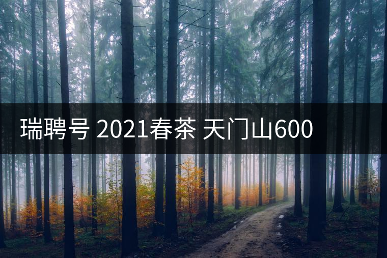 瑞聘號 2021春茶 天門山600 頭春古樹口感怎么樣？