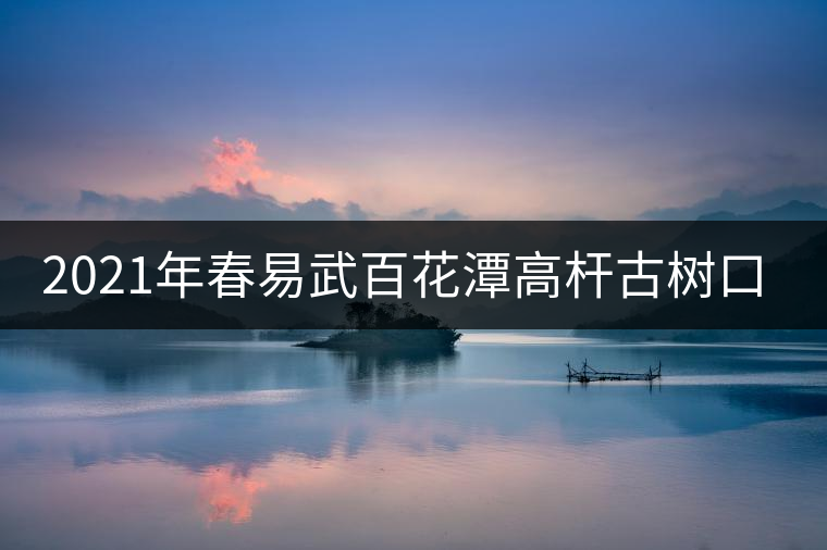 2021年春易武百花潭高桿古樹口感測評