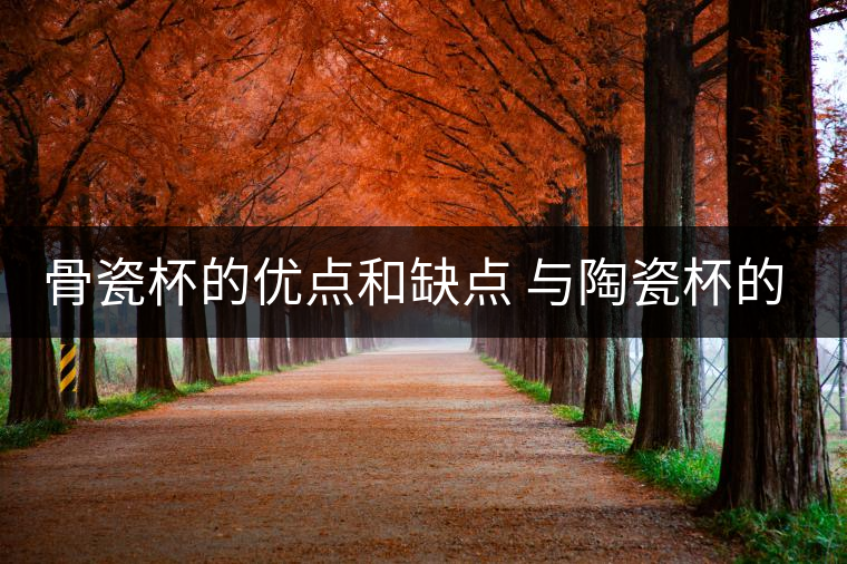 骨瓷杯的優(yōu)點(diǎn)和缺點(diǎn) 與陶瓷杯的區(qū)別