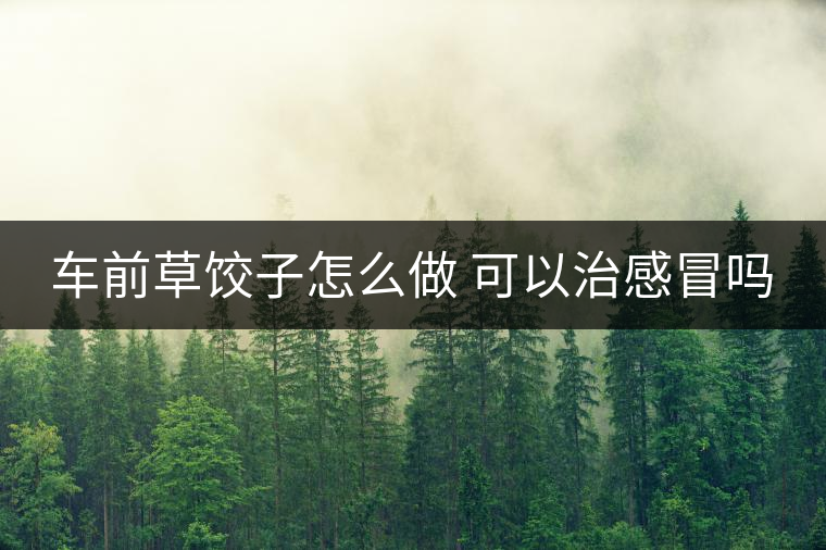 車前草餃子怎么做 可以治感冒嗎