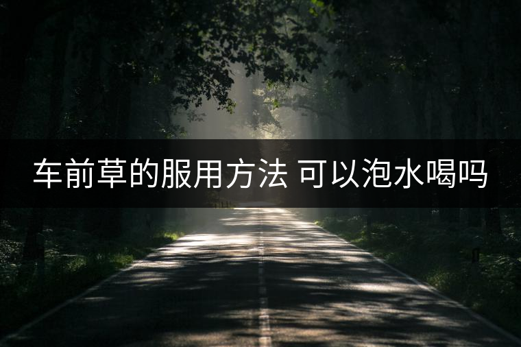 車前草的服用方法 可以泡水喝嗎 車前草的服用方法 可以泡水喝嗎