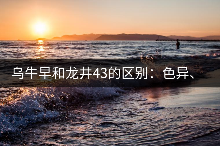 烏牛早和龍井43的區(qū)別：色異、香異、形異