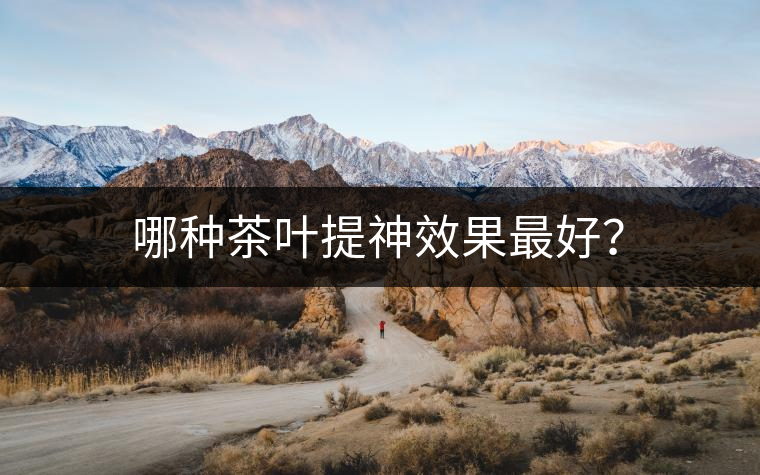 哪種茶葉提神效果最好？