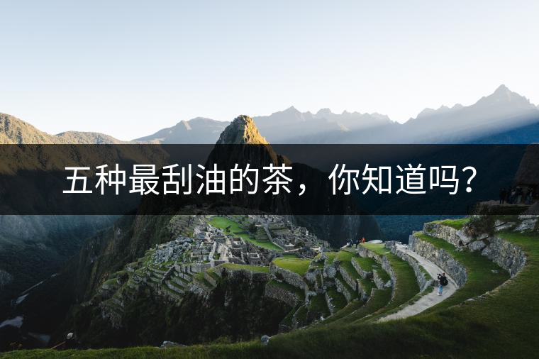五種最刮油的茶，你知道嗎？