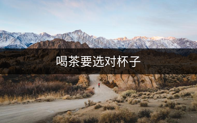 喝茶要選對杯子