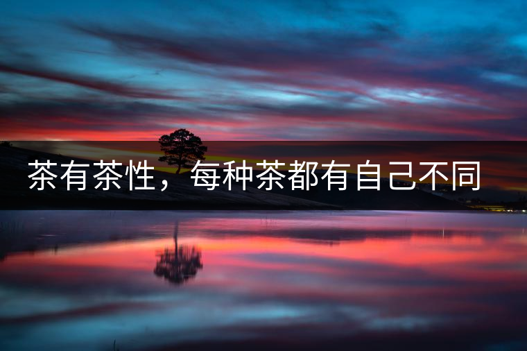 茶有茶性，每種茶都有自己不同的正確泡法