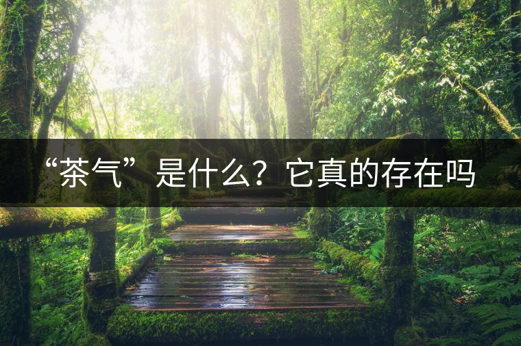 “茶氣”是什么？它真的存在嗎？