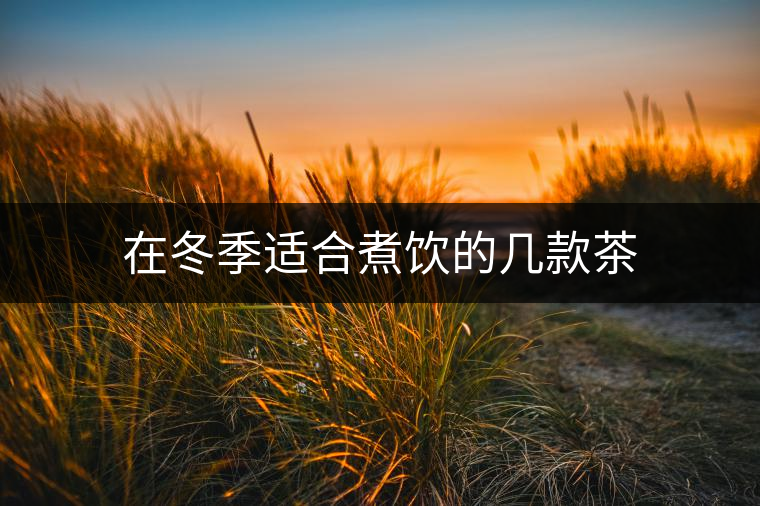 在冬季適合煮飲的幾款茶 在冬季適合煮飲的幾款茶