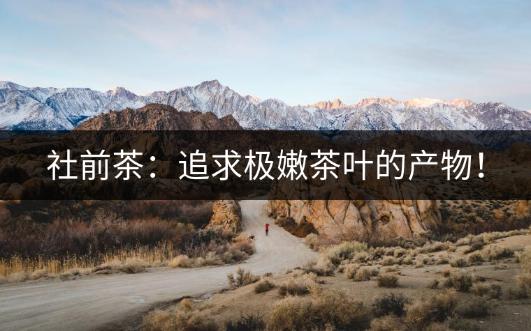 社前茶：追求極嫩茶葉的產(chǎn)物！