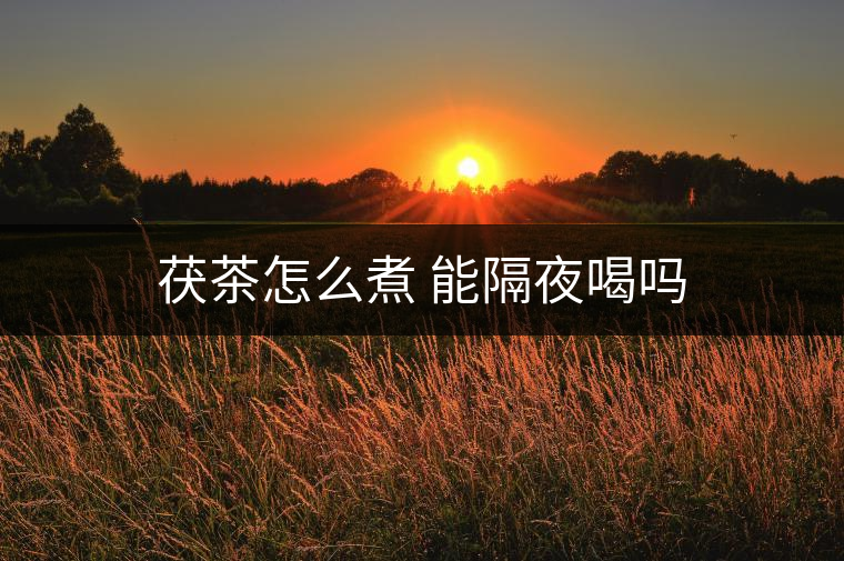 茯茶怎么煮 能隔夜喝嗎