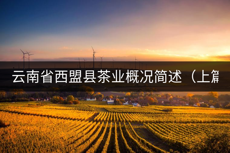 云南省西盟縣茶業(yè)概況簡述(上篇) 云南省西盟縣茶業(yè)概況簡述(上篇)