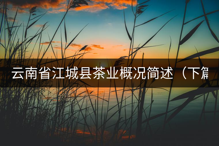 云南省江城縣茶業(yè)概況簡(jiǎn)述（下篇）