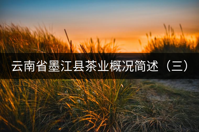 云南省墨江縣茶業(yè)概況簡述(三) 云南省墨江縣茶業(yè)概況簡述(三)