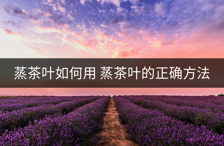 蒸茶葉如何用 蒸茶葉的正確方法