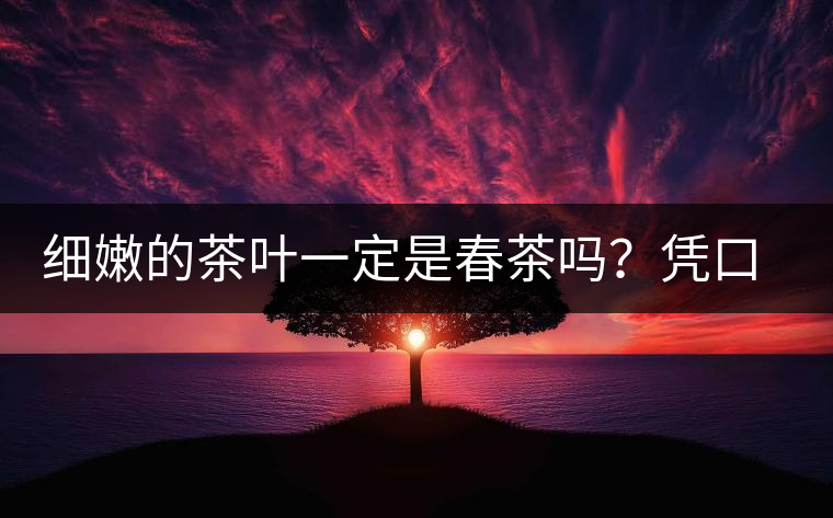 細(xì)嫩的茶葉一定是春茶嗎？憑口感鑒別春茶的方法