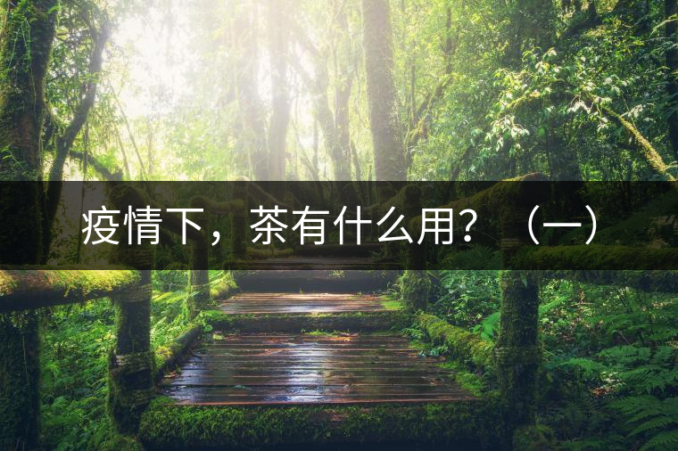 疫情下，茶有什么用？（一）
