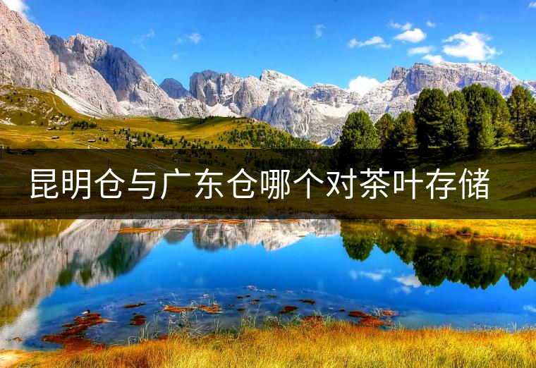 昆明倉(cāng)與廣東倉(cāng)哪個(gè)對(duì)茶葉存儲(chǔ)更具優(yōu)勢(shì)？