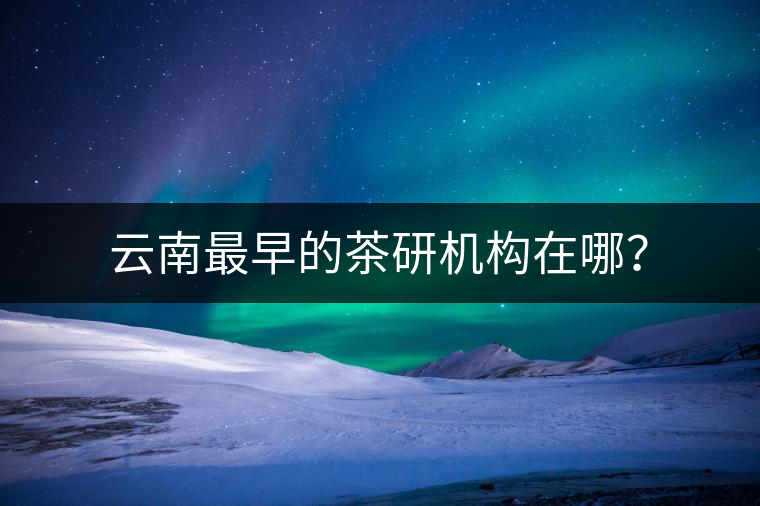 云南最早的茶研機(jī)構(gòu)在哪？