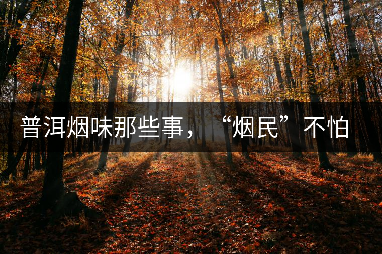 普洱煙味那些事，“煙民”不怕當(dāng)