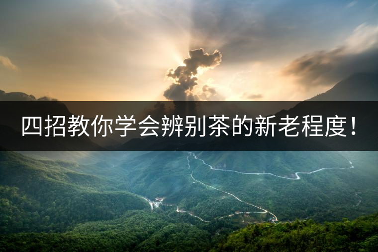 四招教你學(xué)會(huì)辨別茶的新老程度！