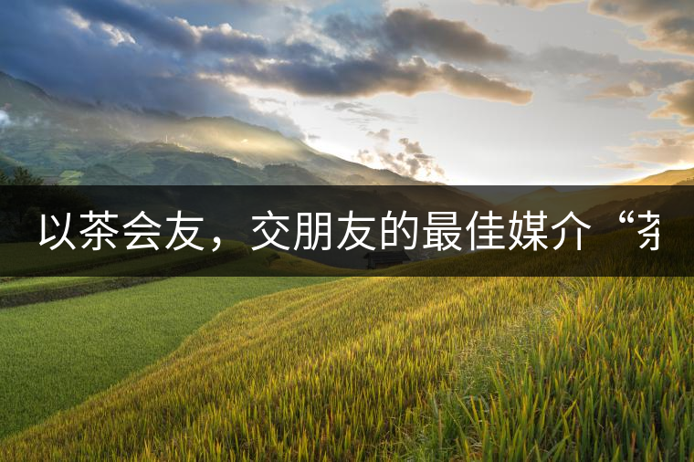 以茶會友，交朋友的最佳媒介“茶”！