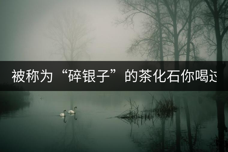 被稱為“碎銀子”的茶化石你喝過嗎？