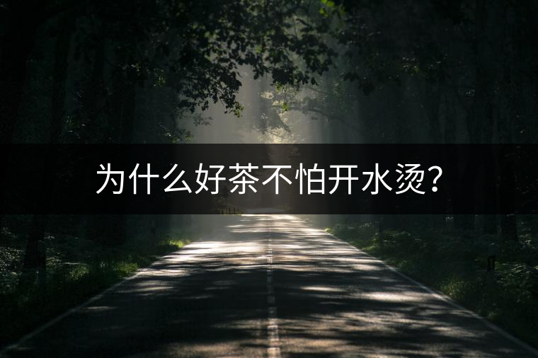 為什么好茶不怕開水燙？