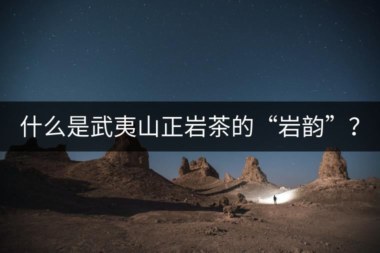 什么是武夷山正巖茶的“巖韻”？