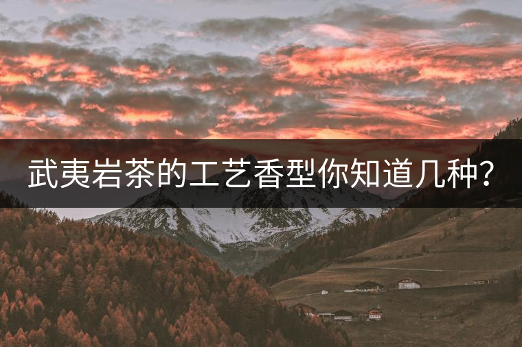 武夷巖茶的工藝香型你知道幾種？