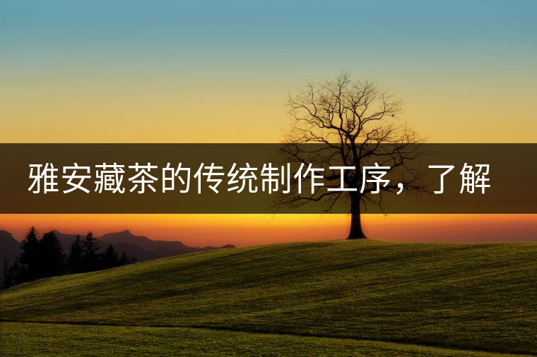 雅安藏茶的傳統(tǒng)制作工序，了解了傳統(tǒng)技藝才能更好的了解茶品！