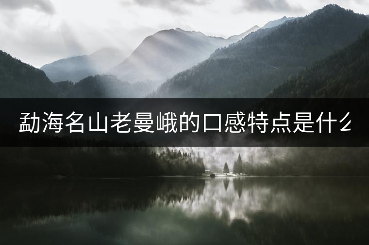 勐海名山老曼峨的口感特點(diǎn)是什么？