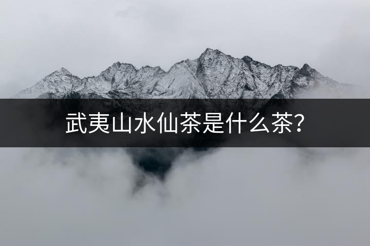 武夷山水仙茶是什么茶？