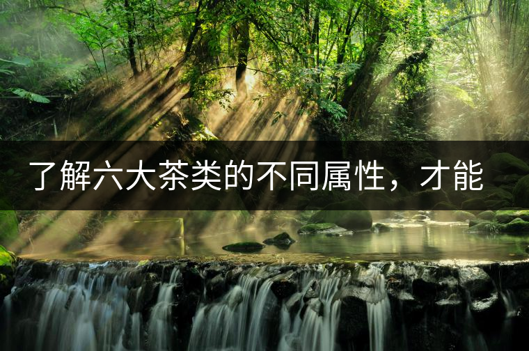 了解六大茶類的不同屬性，才能更好的選擇品飲！