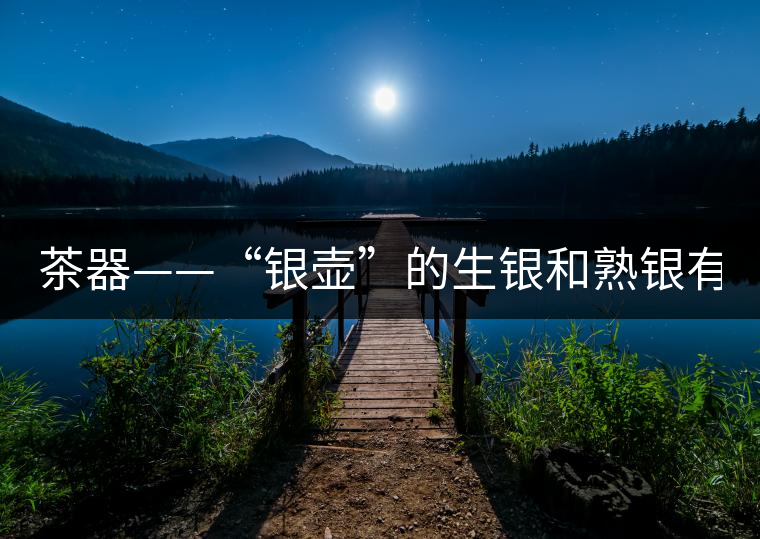 茶器——“銀壺”的生銀和熟銀有什么區(qū)別嗎？