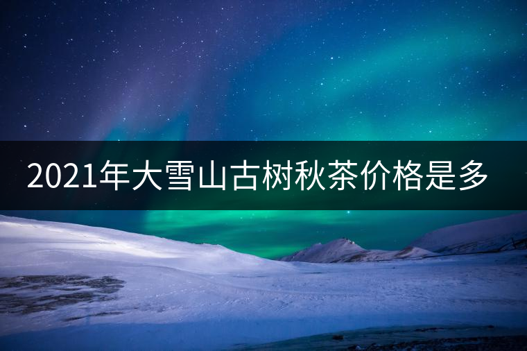 2021年大雪山古樹秋茶價格是多少？
