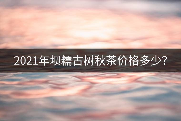 2021年壩糯古樹秋茶價格多少？