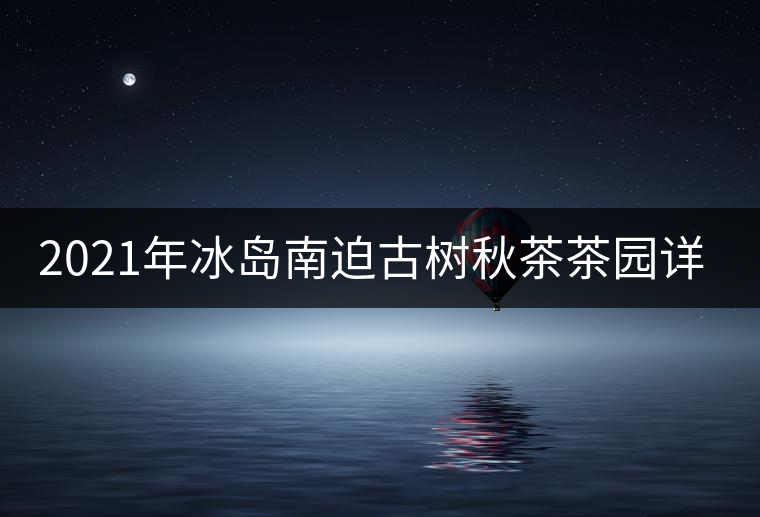 2021年冰島南迫古樹(shù)秋茶茶園詳解！