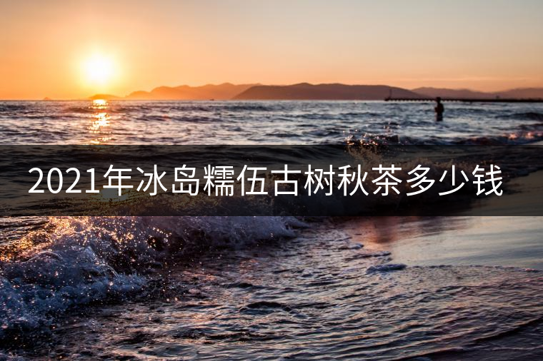 2021年冰島糯伍古樹秋茶多少錢一公斤？