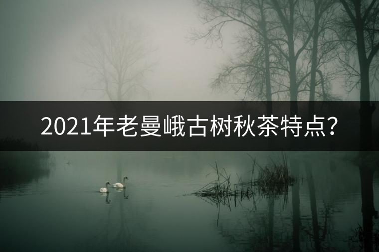 2021年老曼峨古樹秋茶特點？