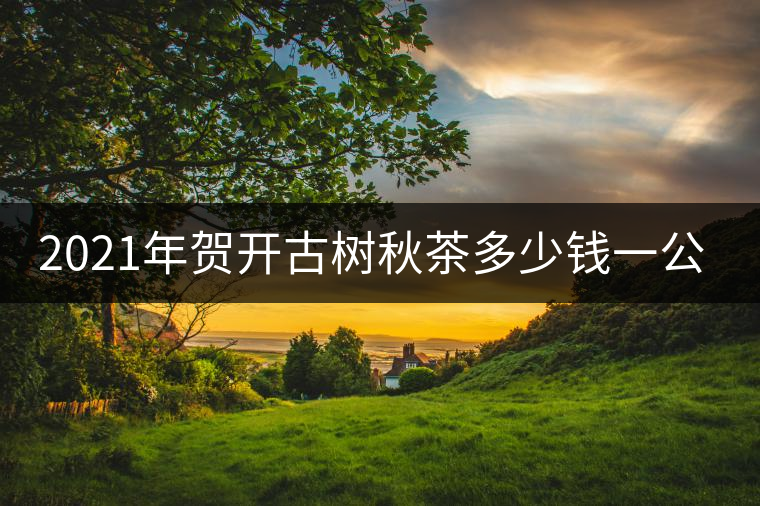 2021年賀開古樹秋茶多少錢一公斤？