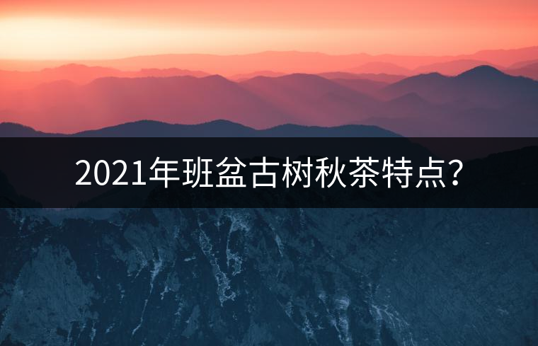 2021年班盆古樹秋茶特點(diǎn)？