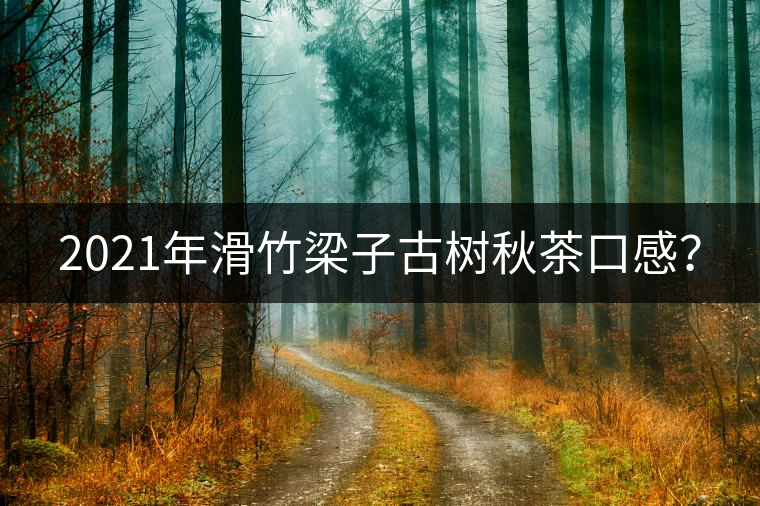 2021年滑竹梁子古樹秋茶口感？