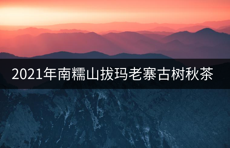2021年南糯山拔瑪老寨古樹秋茶價格？