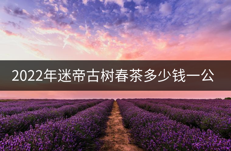 2022年迷帝古樹春茶多少錢一公斤？