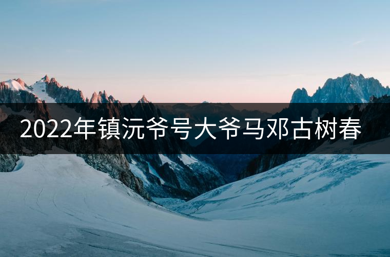 2022年鎮(zhèn)沅爺號(hào)大爺馬鄧古樹春茶特點(diǎn)？