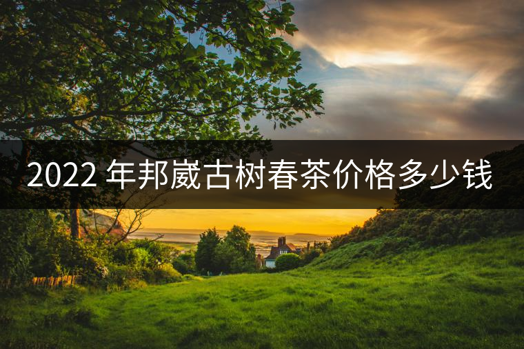 2022 年邦崴古樹春茶價(jià)格多少錢一公斤？