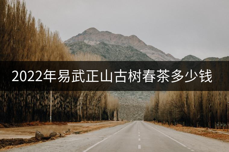 2022年易武正山古樹(shù)春茶多少錢一公斤？