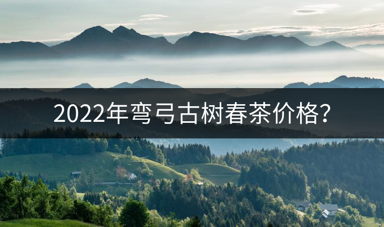 2022年彎弓古樹(shù)春茶價(jià)格？